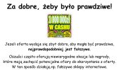 Zasady Bezpiecznego Internetu
