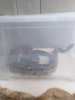 Egzotarium3b_05