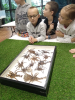 Egzotarium3b_07