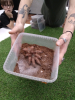 Egzotarium3b_08