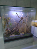 Egzotarium3b_13