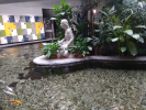 Egzotarium3b_15