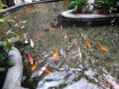 Egzotarium3b_16