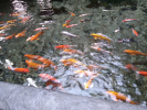 Egzotarium3b_17