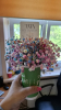 Florystyczne3b_02