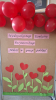 Konkurs_Recytatorski_04