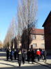 Oswiecim_36