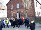 Oswiecim_37