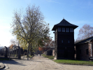 Oswiecim_44