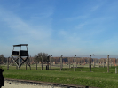 Oswiecim_49