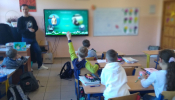 Ptaki_02
