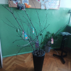 Wiosna_Wilczy_Bilet_2026_12