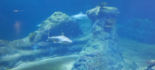 ZOO_Wroclaw_17