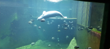 ZOO_Wroclaw_34