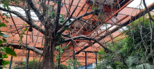 ZOO_Wroclaw_38