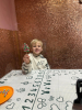 Zarki_81