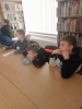 biblioteka_4