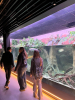 egzotarium_14