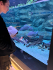 egzotarium_15